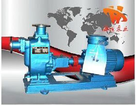 304���P������x�ı�ZX��